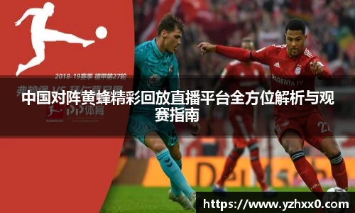 中国对阵黄蜂精彩回放直播平台全方位解析与观赛指南