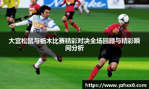 k1体育官方网站