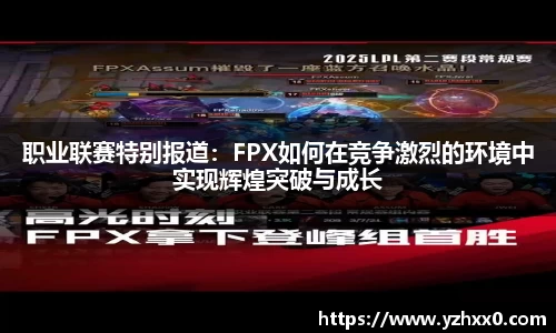 k1体育