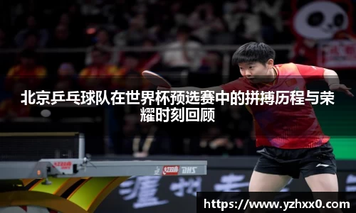 k1体育
